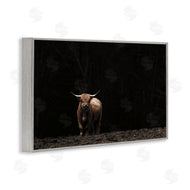 Nathan Larson | Dark Contrast Highland Cow