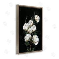 Yvette St. Amant | Vintage Stems of Cotton
