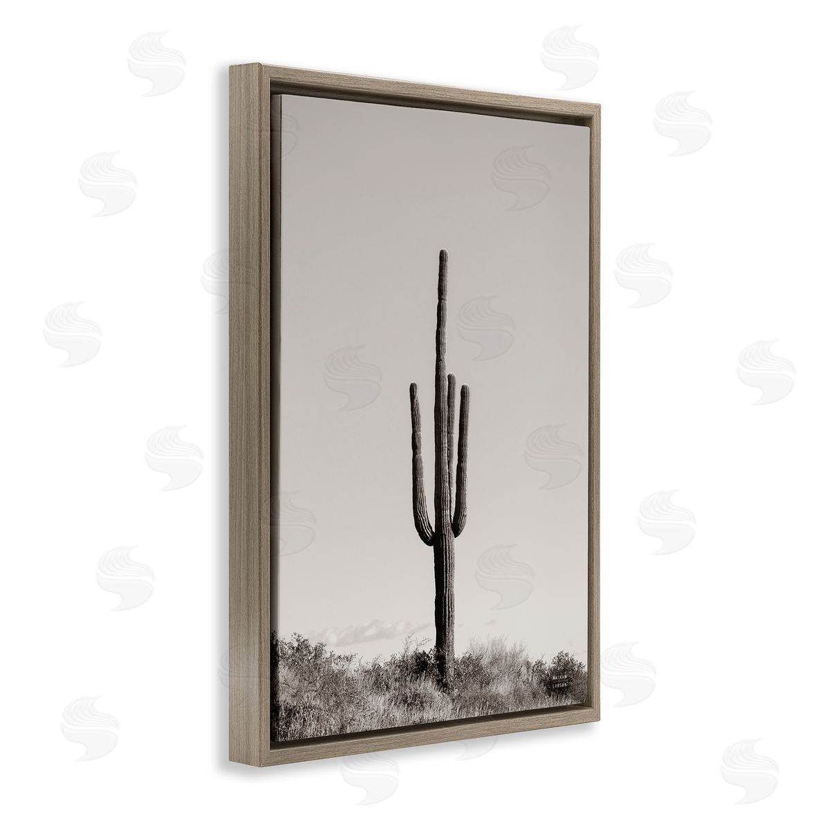Clear Afternoon Cactus Brown Floating Frame Canvas Wall Art, Home Decor by Nathan Larson