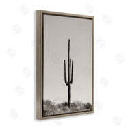 Nathan Larson | Clear Afternoon Cactus