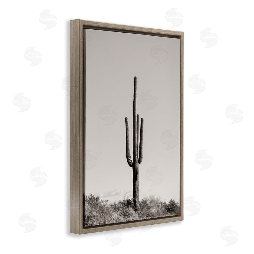 Nathan Larson | Clear Afternoon Cactus