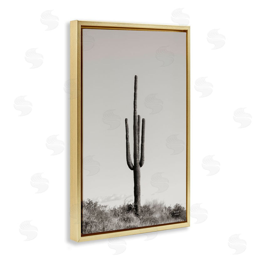 Nathan Larson | Clear Afternoon Cactus