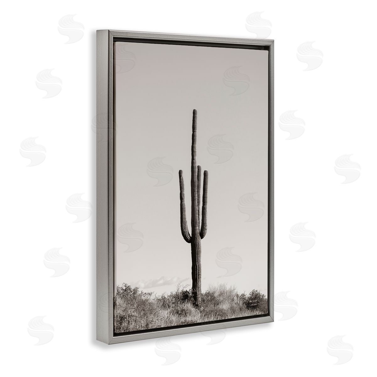 Clear Afternoon Cactus Grey Floating Frame Canvas Wall Art, Home Decor by Nathan Larson