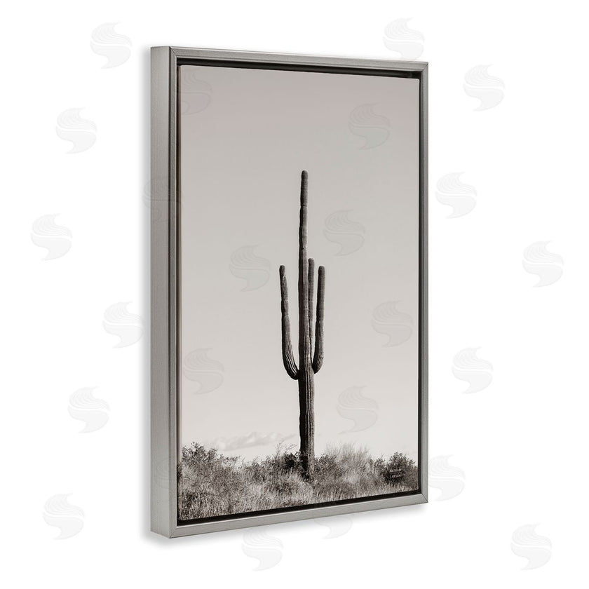Nathan Larson | Clear Afternoon Cactus