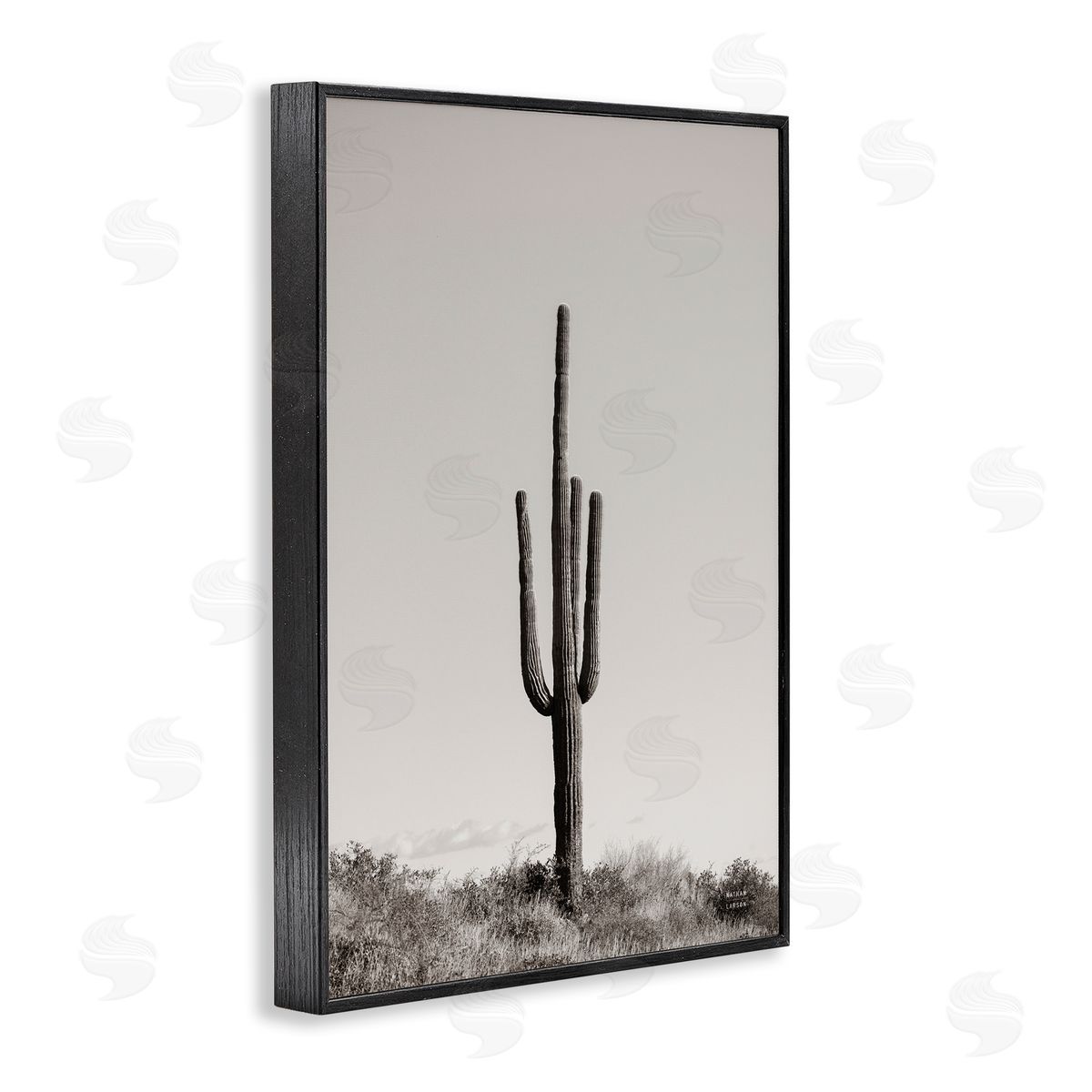 Clear Afternoon Cactus Black Frame Print Wall Art, Home Decor by Nathan Larson