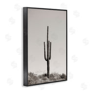 Nathan Larson | Clear Afternoon Cactus