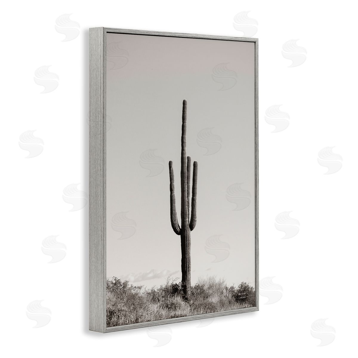 Clear Afternoon Cactus Grey Frame Print Wall Art, Home Decor by Nathan Larson
