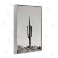 Nathan Larson | Clear Afternoon Cactus