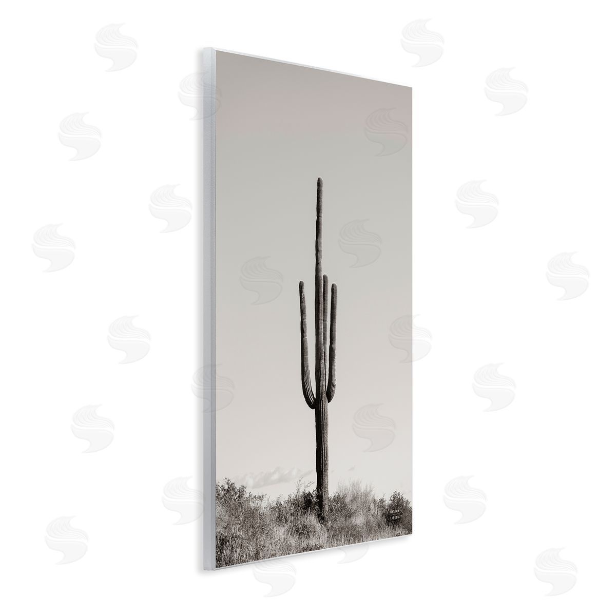 Clear Afternoon Cactus Wood Plaque Wall Art, Home Decor by Nathan Larson