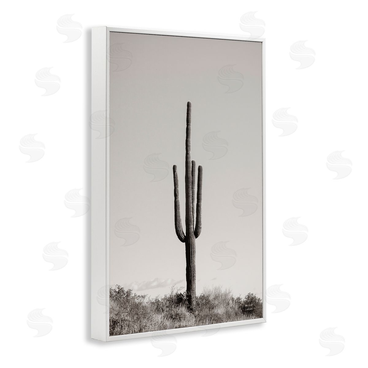 Clear Afternoon Cactus White Frame Print Wall Art, Home Decor by Nathan Larson