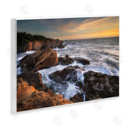 Alan Majchrowicz | Nautical Shore Acres