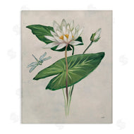 Julia Purinton | Graceful Lily Pad