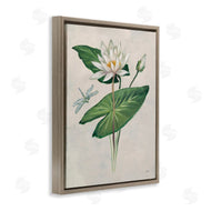 Julia Purinton | Graceful Lily Pad