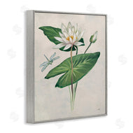 Julia Purinton | Graceful Lily Pad