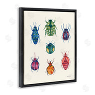 Yvette St. Amant | Varied Beetle Chart
