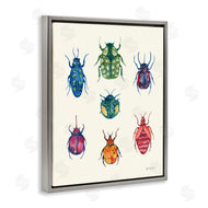 Yvette St. Amant | Varied Beetle Chart