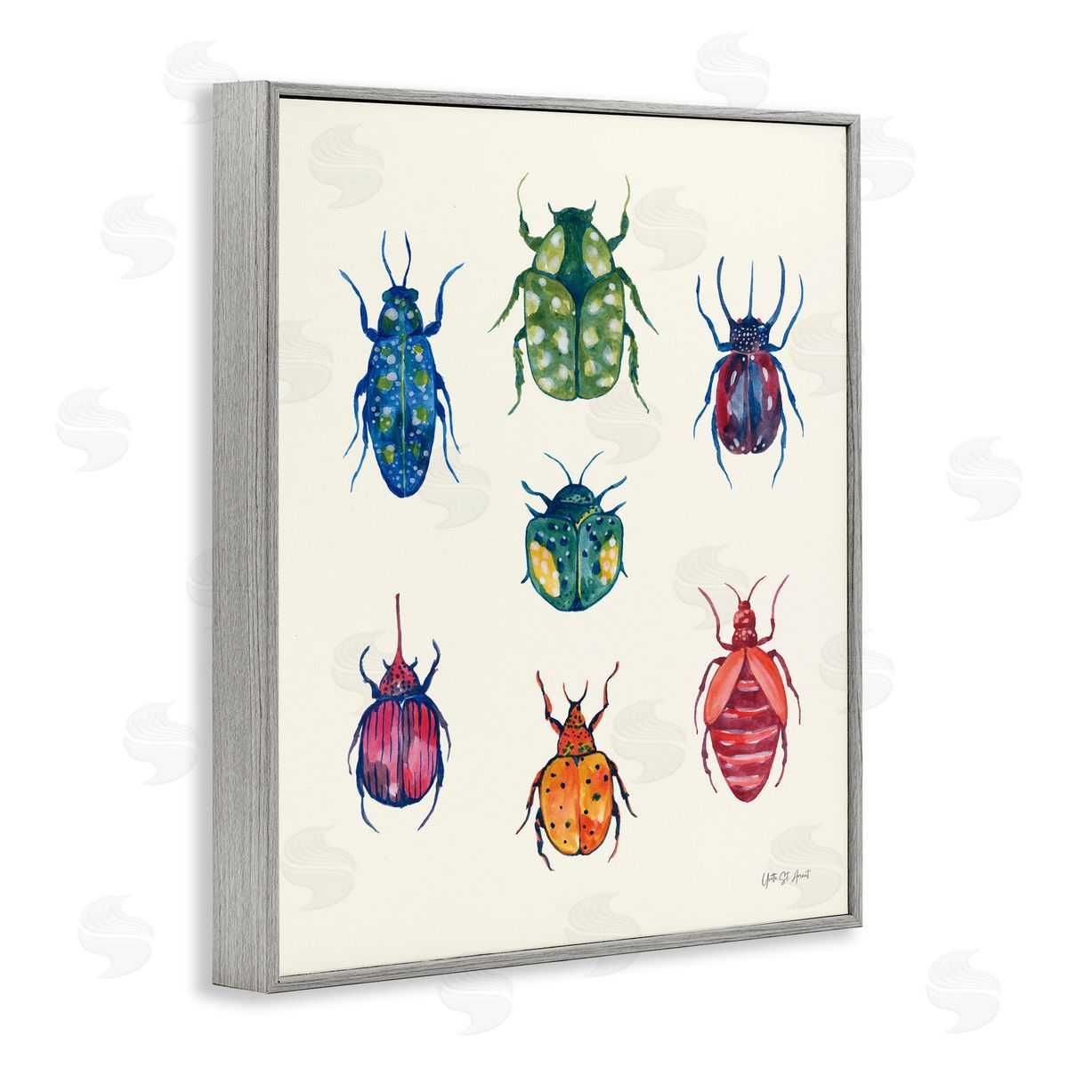 Varied Beetle Chart Grey Frame Print Wall Art, Home Decor by Yvette St. Amant