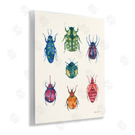 Yvette St. Amant | Varied Beetle Chart