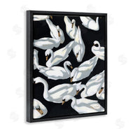 Haley Knighten | Overlapping Swans on Black