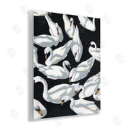 Haley Knighten | Overlapping Swans on Black