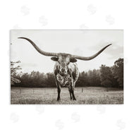Nathan Larson | Longhorn Licking Lips