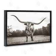 Nathan Larson | Longhorn Licking Lips