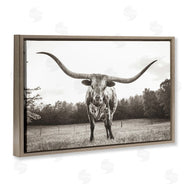 Nathan Larson | Longhorn Licking Lips