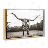 Nathan Larson | Longhorn Licking Lips