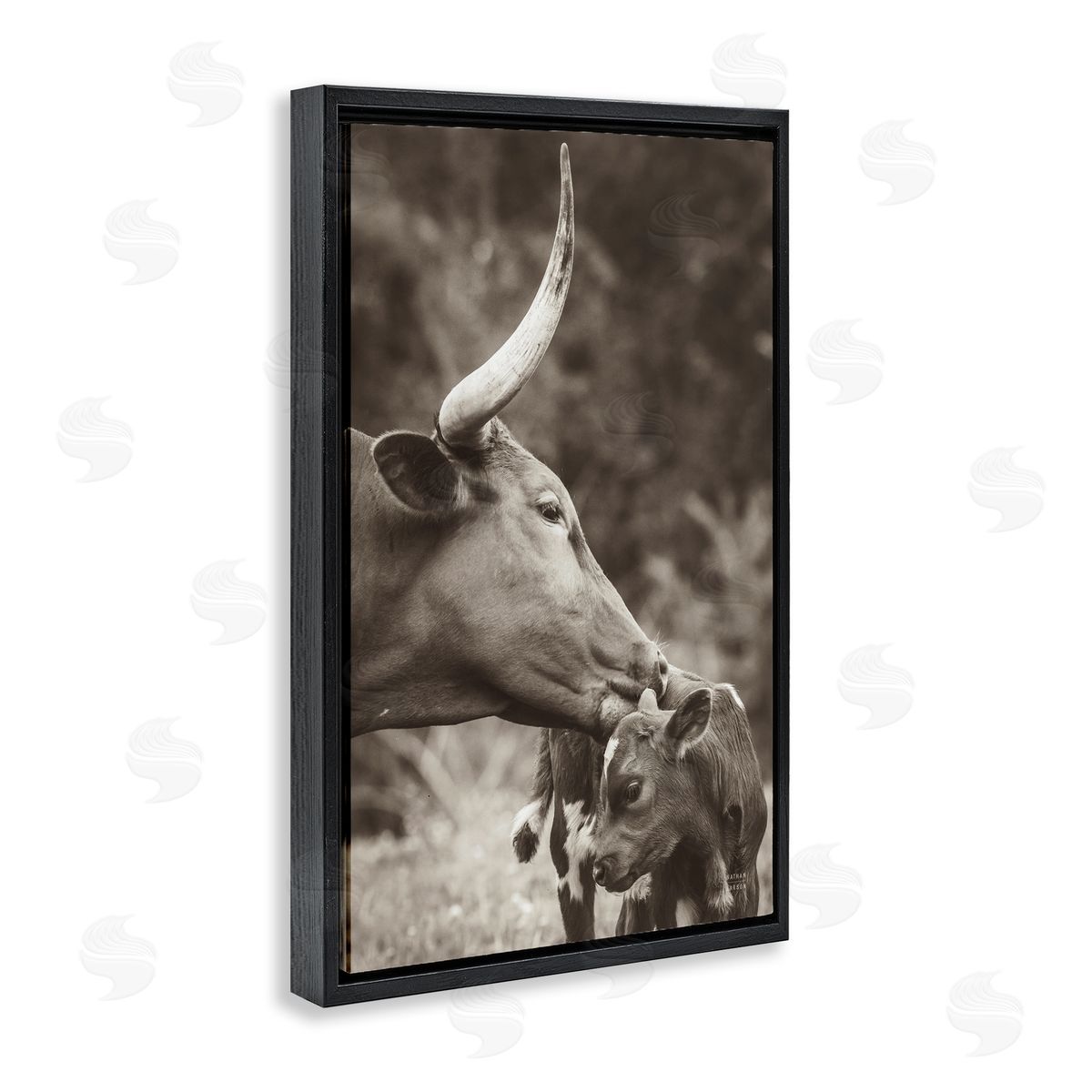 Longhorn Kissing Baby Black Floating Frame Canvas Wall Art, Home Decor by Nathan Larson