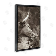 Nathan Larson | Longhorn Kissing Baby
