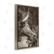 Nathan Larson | Longhorn Kissing Baby