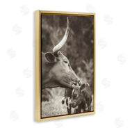 Nathan Larson | Longhorn Kissing Baby