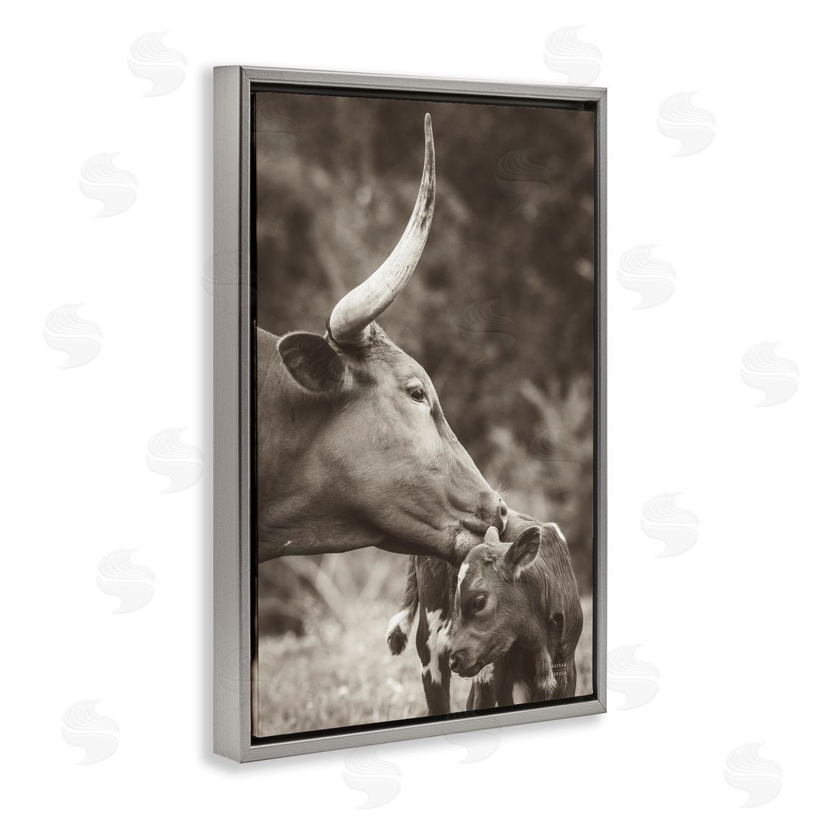 Longhorn Kissing Baby Grey Floating Frame Canvas Wall Art, Home Decor by Nathan Larson
