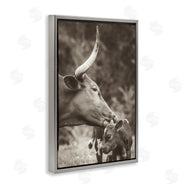 Nathan Larson | Longhorn Kissing Baby