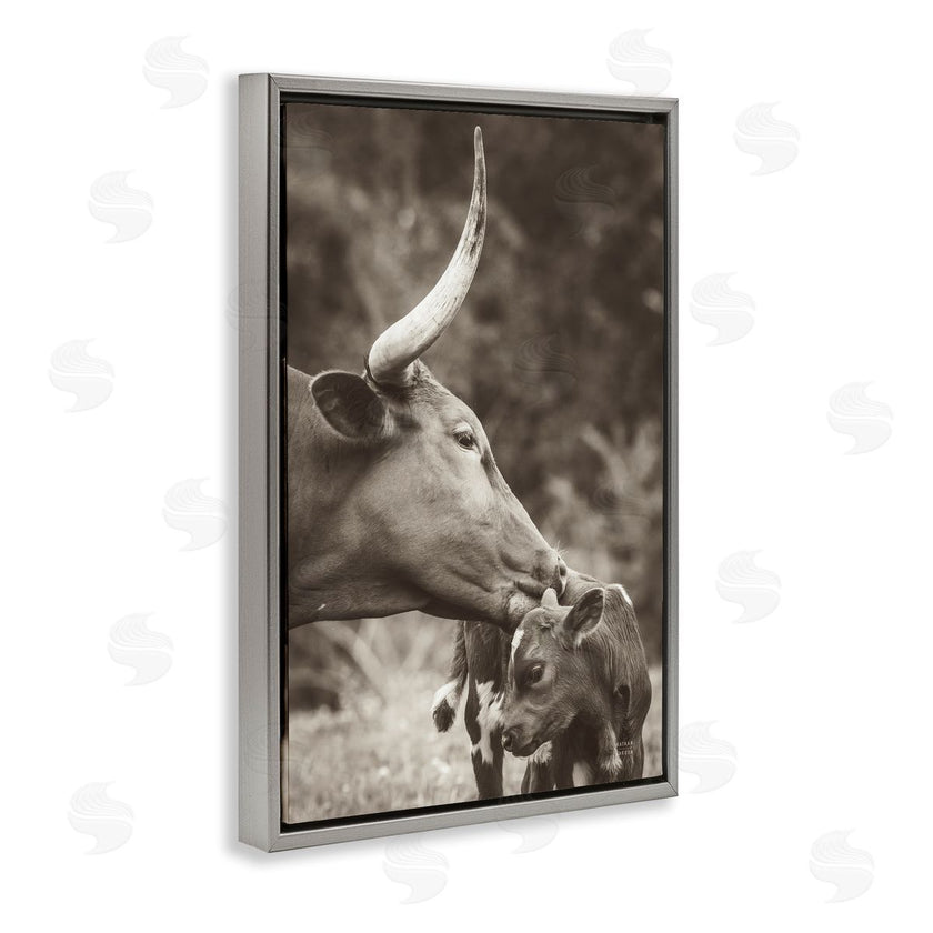 Nathan Larson | Longhorn Kissing Baby