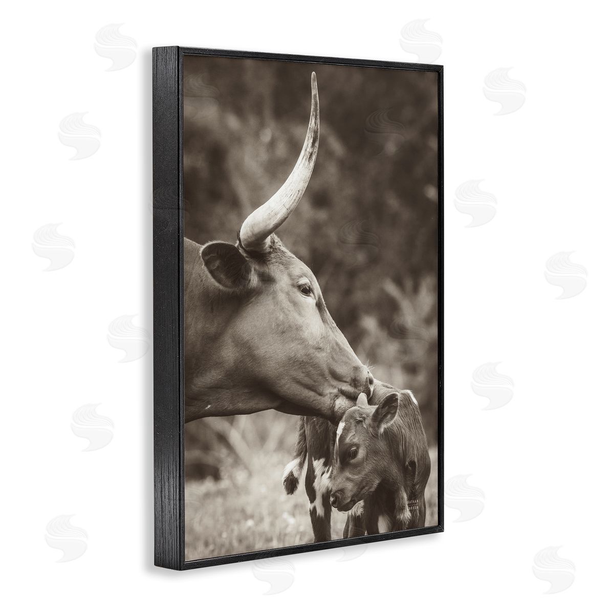 Longhorn Kissing Baby Black Frame Print Wall Art, Home Decor by Nathan Larson