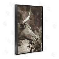 Nathan Larson | Longhorn Kissing Baby