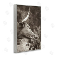 Nathan Larson | Longhorn Kissing Baby