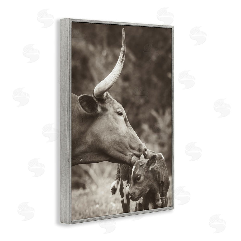 Nathan Larson | Longhorn Kissing Baby