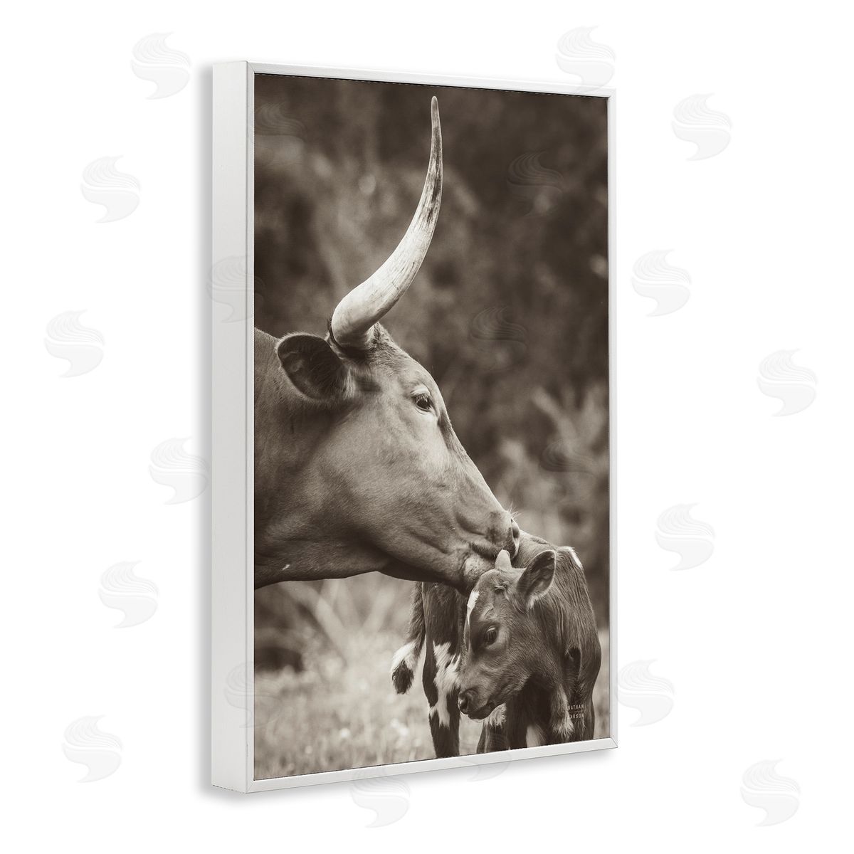 Longhorn Kissing Baby White Frame Print Wall Art, Home Decor by Nathan Larson