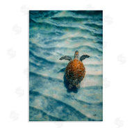 Max Blakesberg Studios | Turtle Along Rippling Sand