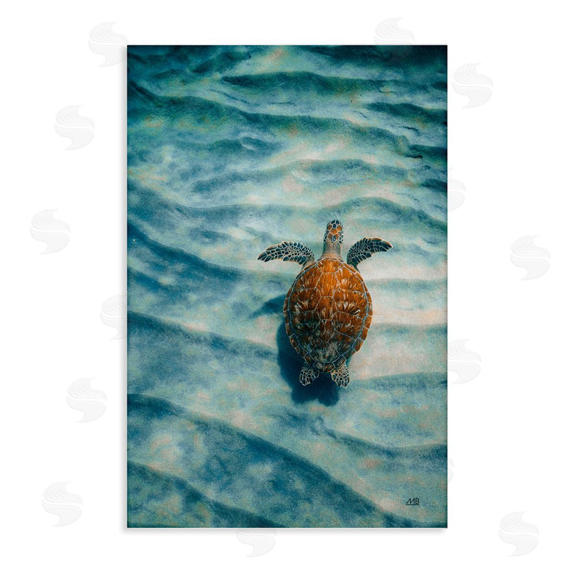 Max Blakesberg Studios | Turtle Along Rippling Sand