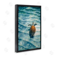 Max Blakesberg Studios | Turtle Along Rippling Sand