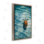 Max Blakesberg Studios | Turtle Along Rippling Sand
