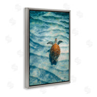 Max Blakesberg Studios | Turtle Along Rippling Sand