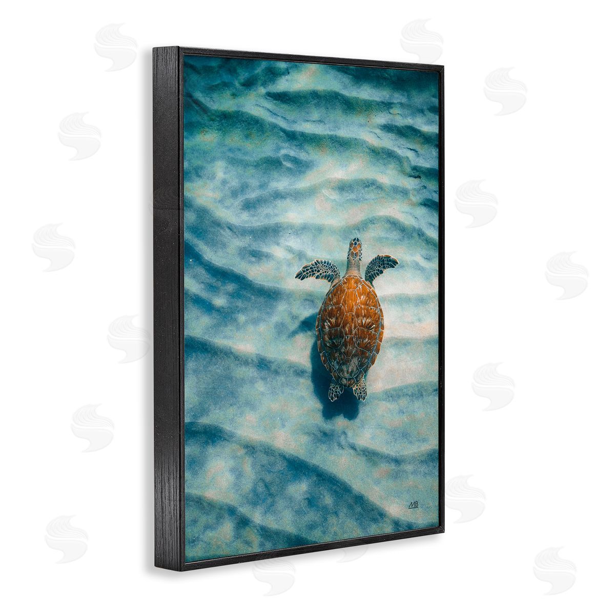 Turtle Along Rippling Sand Black Frame Print Wall Art, Home Decor by Max Blakesberg Studios