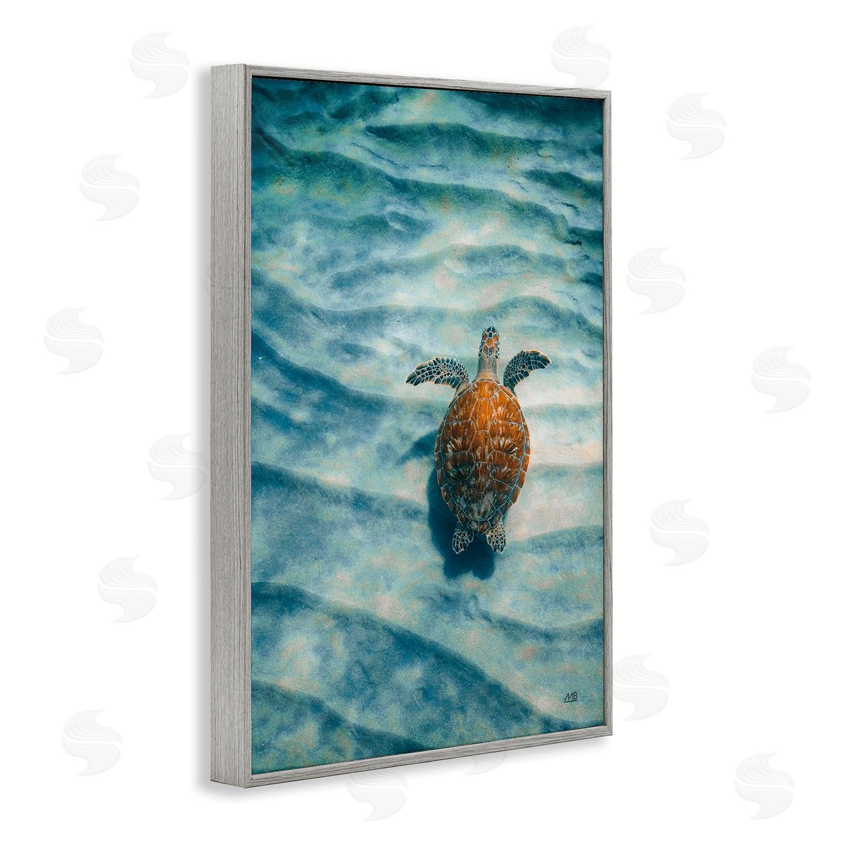 Turtle Along Rippling Sand Grey Frame Print Wall Art, Home Decor by Max Blakesberg Studios