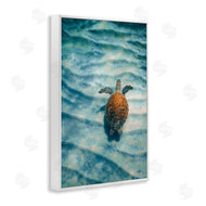 Max Blakesberg Studios | Turtle Along Rippling Sand
