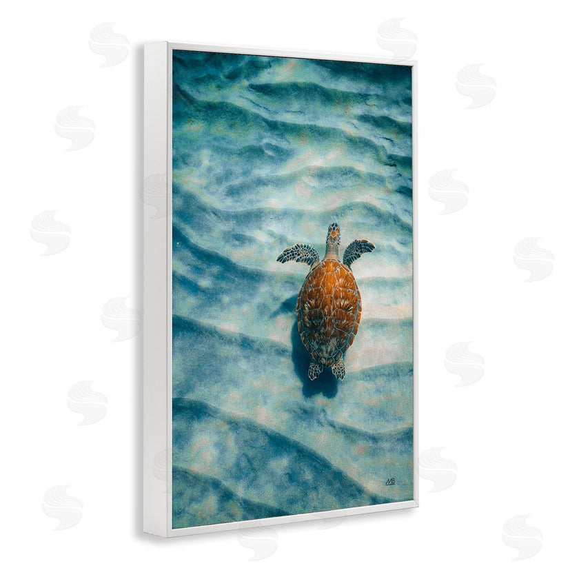 Max Blakesberg Studios | Turtle Along Rippling Sand