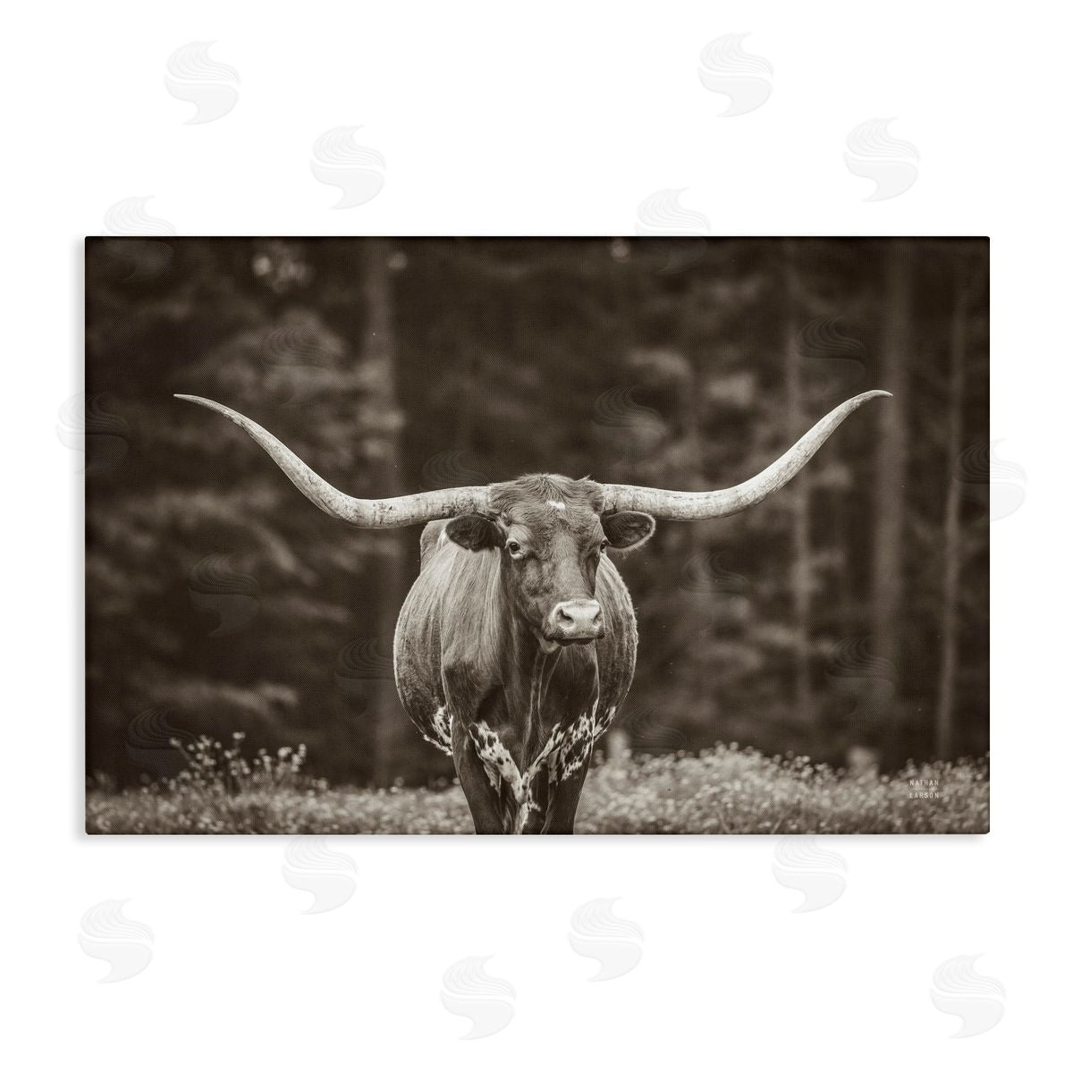 Longhorn Among Flowers Canvas Wall Art, Home Decor by Nathan Larson